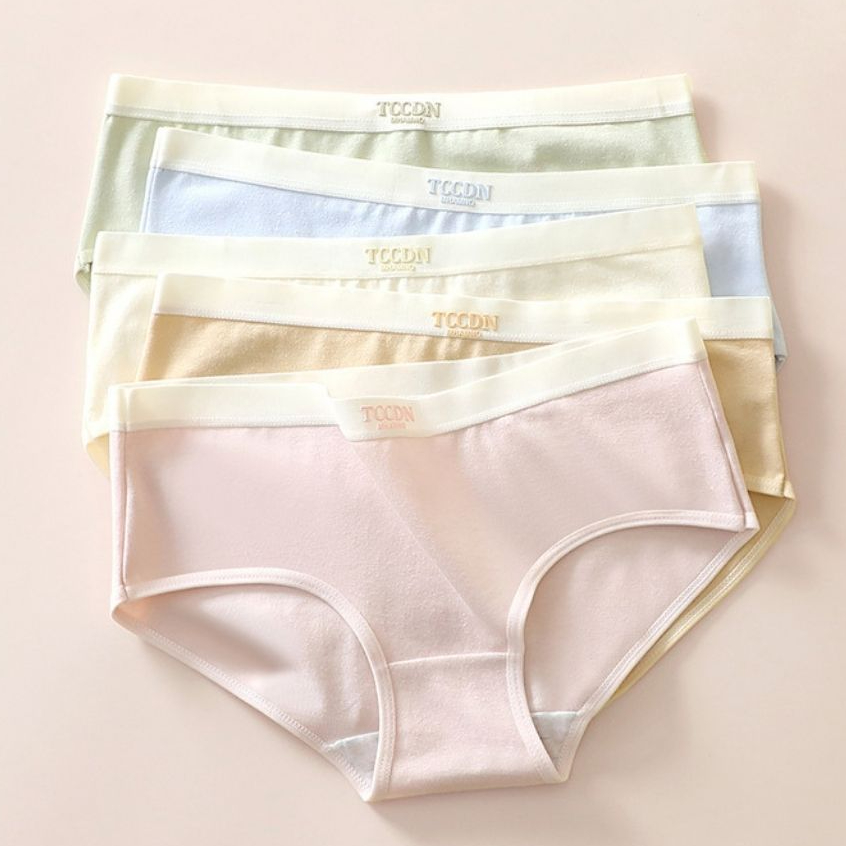 Quần lót cotton nữ cao cấp dày dặn thoáng khí đáy lót 2 lớp chắc chắn kiểu dáng basic LANIXA L4111