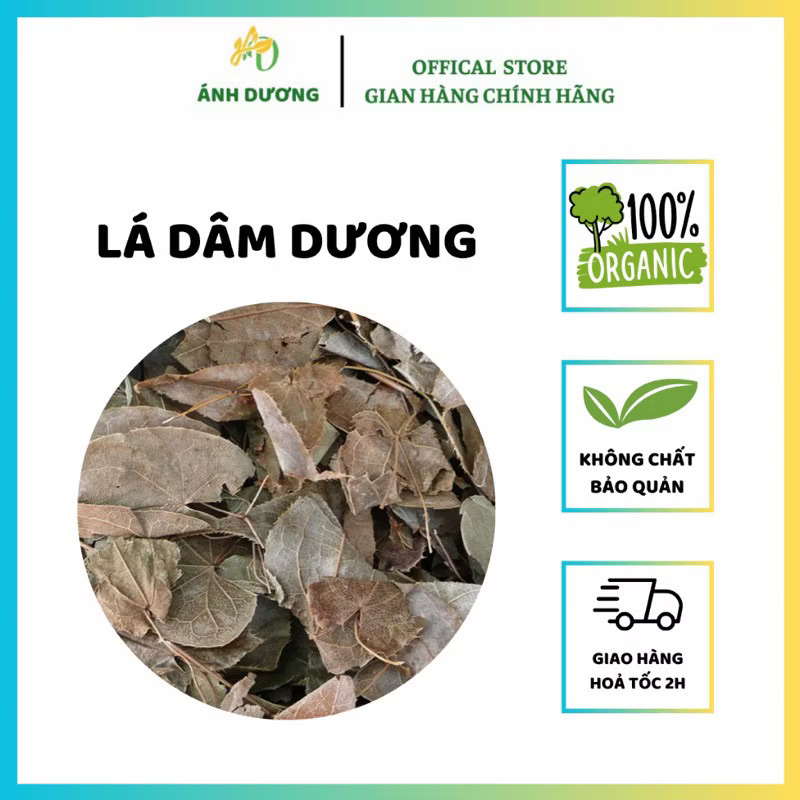 Dâm Dương Hoắc Bó ( Dâm Dương Hoắc ) Lá Dâm Dương Bổ Thận, Tráng Dương, Tăng Cường Sinh Lực, Ngâm Rượu