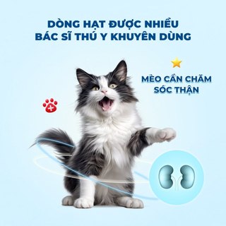 [50G] Túi Mẫu Thử Thức Ăn Cho Mèo MRVET Dạng Hạt Gói 50G Cải Thiện Sức Khoẻ Đường Tiết Niệu Cho Mèo