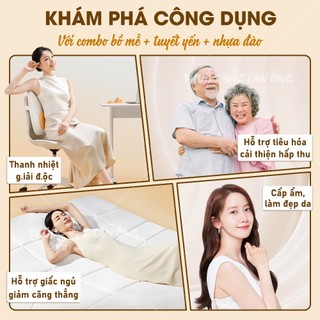 Bồ mễ, tuyết yến, nhựa đào, set nguyên liệu nấu chè dưỡng nhan, đẹp da, tốt cho sức khỏe - Lãn Ông