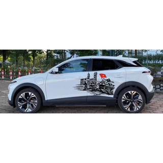 Tem 2 bên Sườn Xe Ô Tô VF6, decal ô tô , Tem 2 bên Sườn Xe Ô tô GIẢI PHÓNG MIỀN NAM-Team Decal Oto,Hàng 3 Lớp Chất Lượng