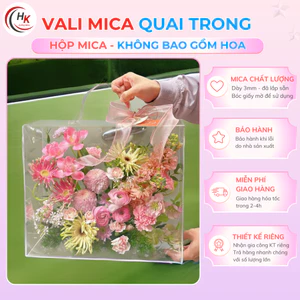 Hộp Nhựa Valy Mica Cắm Hoa - Hộp Cốp Mica Đựng Quà Tết Hộp Quà Tặng Hộp Đựng Set Quà Tết Quai Trúc