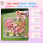 Hộp Nhựa Valy Mica Cắm Hoa - Hộp Cốp Mica Đựng Quà Tết Hộp Quà Tặng Hộp Đựng Set Quà Tết Quai Trúc