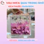 Hộp Mica Cắm Hoa Trong Suốt - Vali Mica Đựng Quà Tặng - Hộp mica đựng labubu babythree
