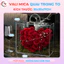 Hộp Mica Cắm Hoa Trong Suốt - Vali Mica Đựng Quà Tặng - Hộp mica đựng labubu babythree