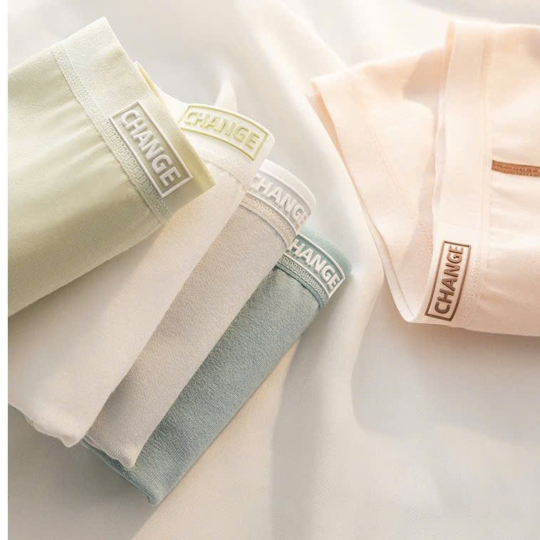 Combo 10 Quần Lót Nữ Cotton Kháng Khuẩn, Co Dãn Thoải Mái 685