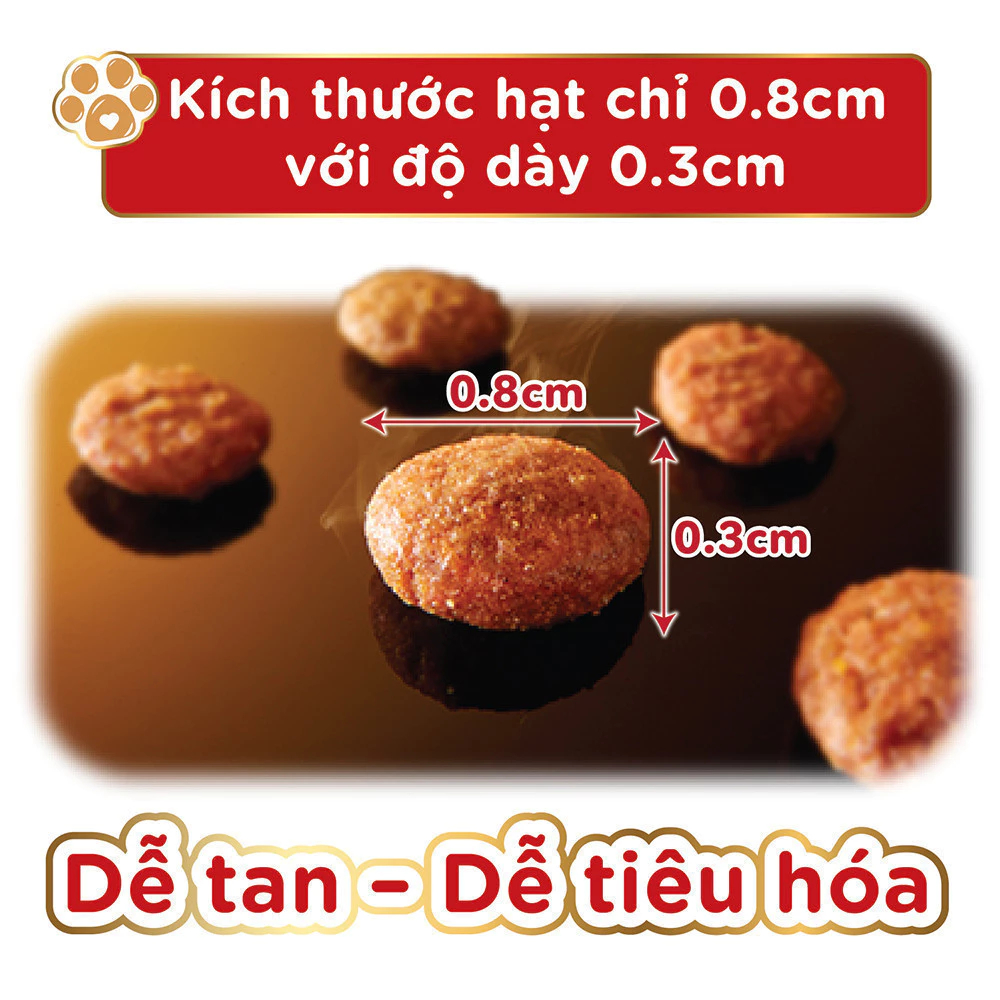 Ảnh [PET GIFT] Combo 2 Thức ăn hạt cho mèo Silver Spoon - Vị Cá ngừ - Gói Mini 40g 1