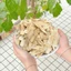 Hoàng kỳ 100g, khô, sạch, thái lát mỏng, trà hoàng kì, hỗ trợ bổ thận, giúp ăn ngon, bổ khí huyết