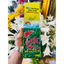 Trà Tân Cương Thái Nguyên - Đặc Sản Chè Xanh Thái Nguyên