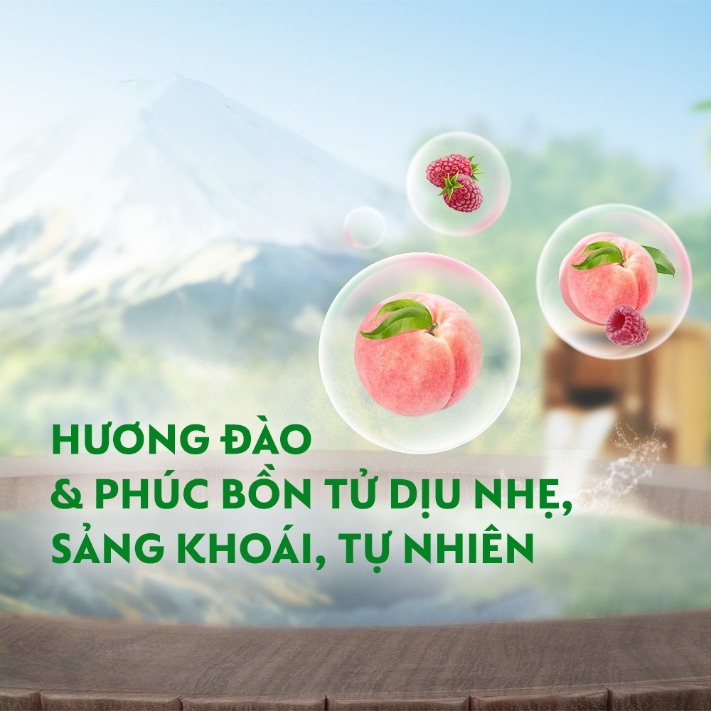 Ảnh Sữa Tắm Dettol Hương Đào & Phúc Bồn Tử 950g 1