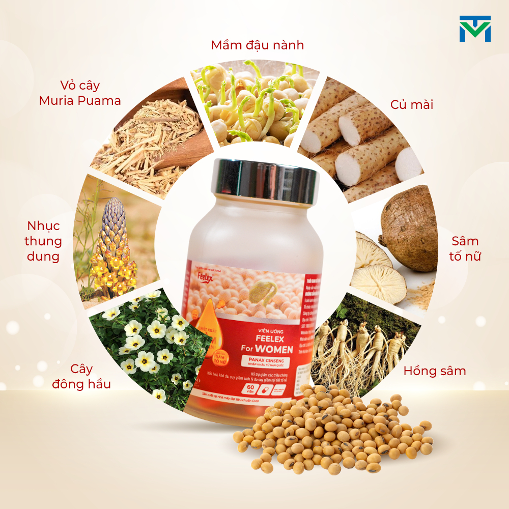 Ảnh Viên uống mầm đậu nành Feelex For Women hỗ trợ cân bằng nội tiết tố, tăng cường sinh lý nữ - 60v 3