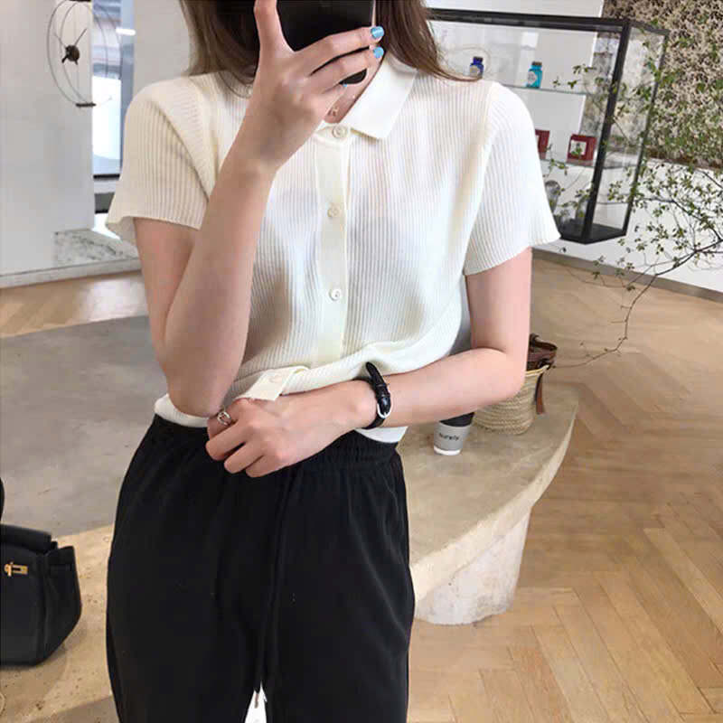 40-105KG Áo Thun Nữ Cổ Polo Len Mềm Mịn Thời Trang Bigsize - Mã 52