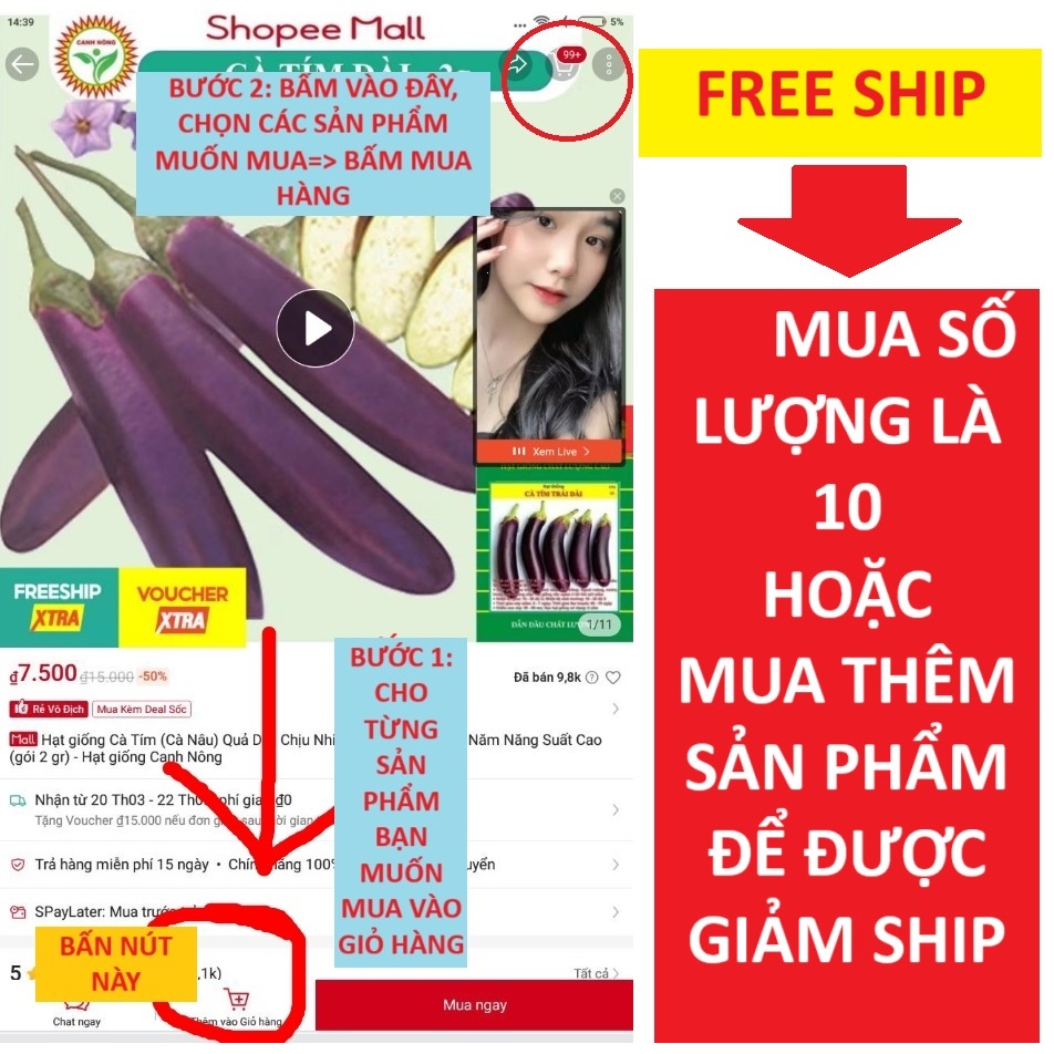 Hạt Giống Mồng Tơi Lá To Cao Sản, Dễ Trồng, Dễ Chăm (Gói 5gr) - Hạt Giống CANH NÔNG
