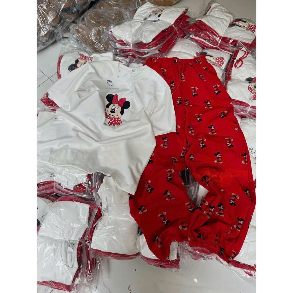 Bộ cotton nữ quần ống rộng áo thun in minnie dễ thương, set quần áo nữ mùa hè áo phông in hình ngộ nghĩnh HCOM25561