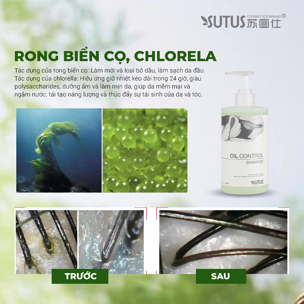 Dầu gội giảm rụng tóc, chăm sóc da đầu & kiểm soát dầu - Sutus Oil control