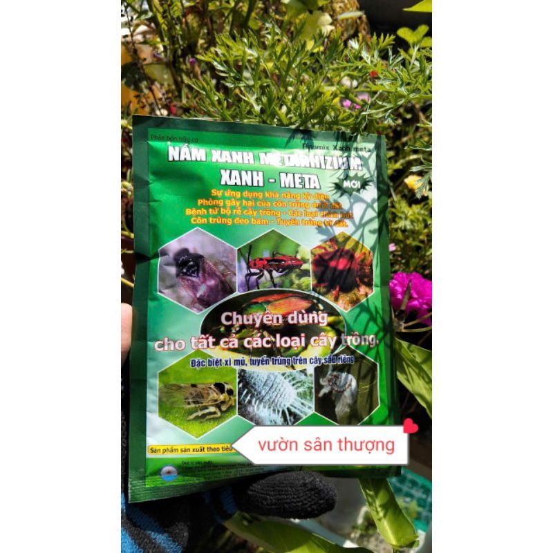 100gr Nấm Xanh Metarhizium Xanh - Meta, Tăng Cường Tính Năng Hữu Cơ, Phòng Tr.ừ Nấm Gây H.ại Từ Bộ Rễ