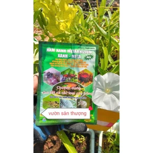 100gr Nấm Xanh Metarhizium Xanh - Meta, Tăng Cường Tính Năng Hữu Cơ, Phòng Tr.ừ Nấm Gây H.ại Từ Bộ Rễ