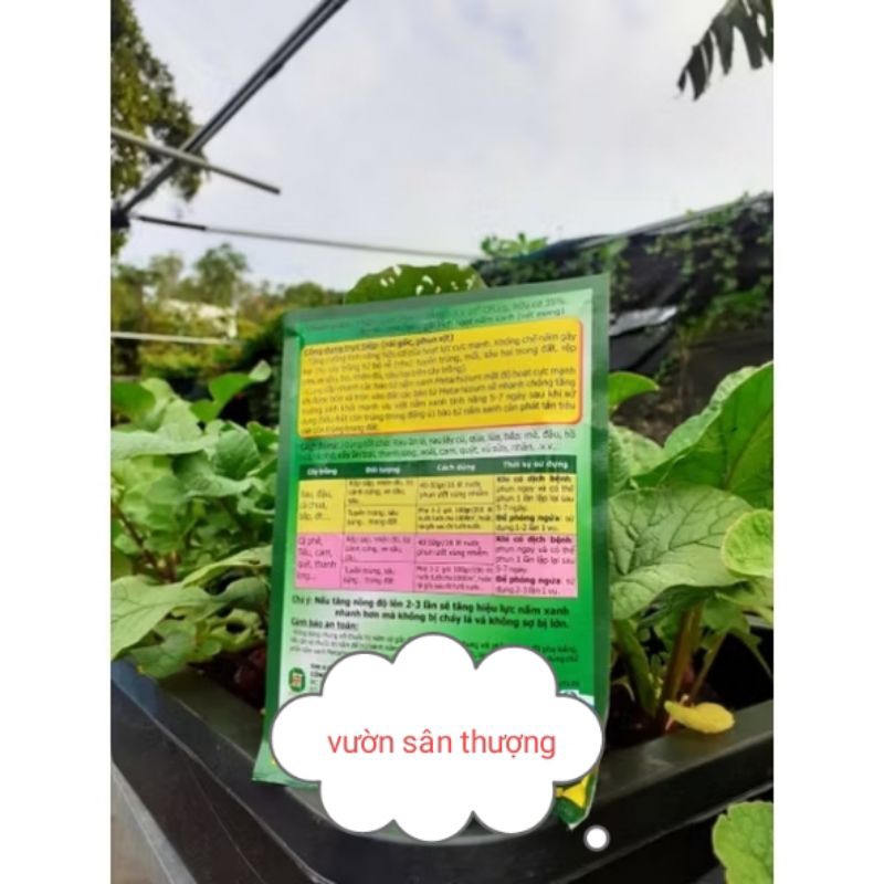 100gr Nấm Xanh Metarhizium Xanh - Meta, Tăng Cường Tính Năng Hữu Cơ, Phòng Tr.ừ Nấm Gây H.ại Từ Bộ Rễ
