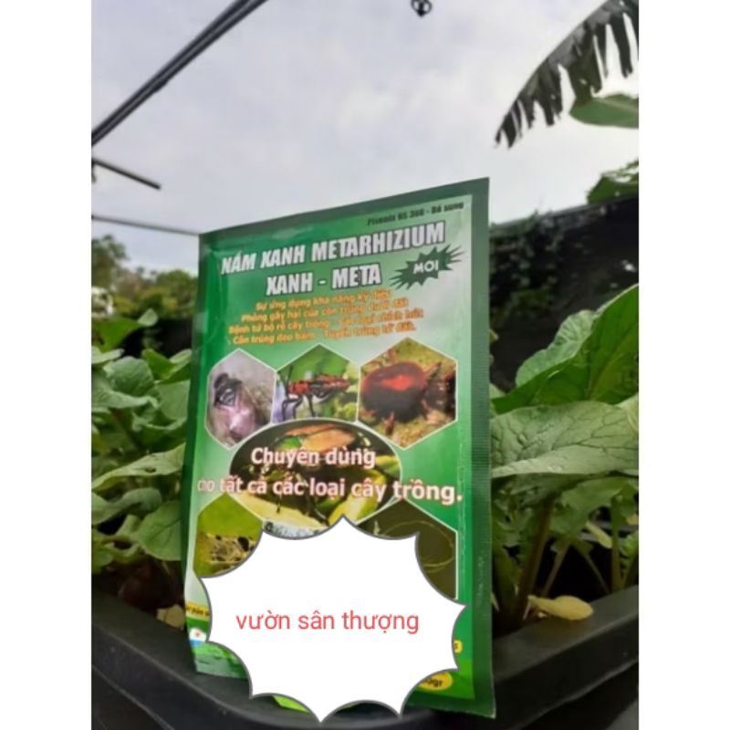 100gr Nấm Xanh Metarhizium Xanh - Meta, Tăng Cường Tính Năng Hữu Cơ, Phòng Tr.ừ Nấm Gây H.ại Từ Bộ Rễ
