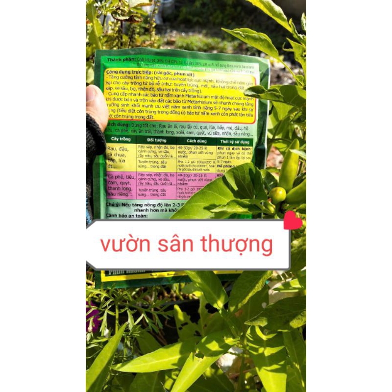 100gr Nấm Xanh Metarhizium Xanh - Meta, Tăng Cường Tính Năng Hữu Cơ, Phòng Tr.ừ Nấm Gây H.ại Từ Bộ Rễ