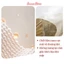 Quần lót nữ QS17 Emma Store siết eo nâng mông "9 trong 1", định hình eo đốt mỡ đùi