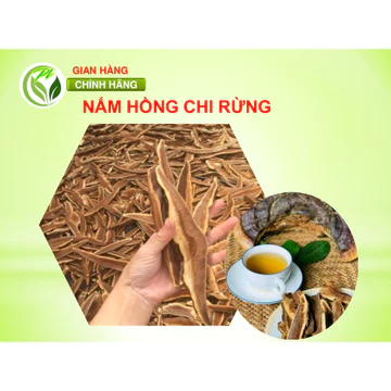 Nấm hồng chi (nấm linh chi đỏ)- Hàng thái lát sẵn 500gr