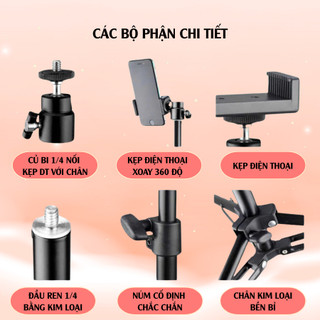 Chân Kẹp Điện Thoại Livestream, Quay Video, Vlog Cao 2m1 – Giá Đỡ Điện Thoại Xoay 360 Độ, Chân Đỡ Điện Thoại