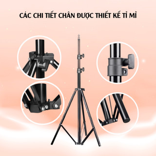 Chân Giá Đỡ Đèn Livestream Chuyên Nghiệp–Chân Thường,Chân Cao Cấp, Chân 2m8 | Gắn Softbox, Đèn Trợ Sáng, Kẹp Điện Thoại
