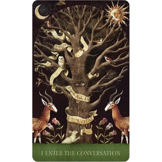 Bộ Bài Dream Song Oracle (Mystic House Tarot Shop) - Bài Gốc Authentic Chính Hãng 100%