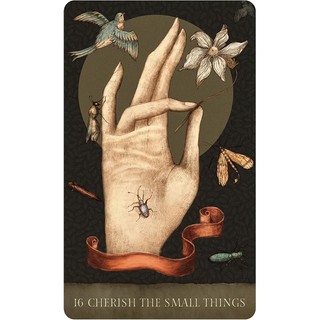 Bộ Bài Dream Song Oracle (Mystic House Tarot Shop) - Bài Gốc Authentic Chính Hãng 100%