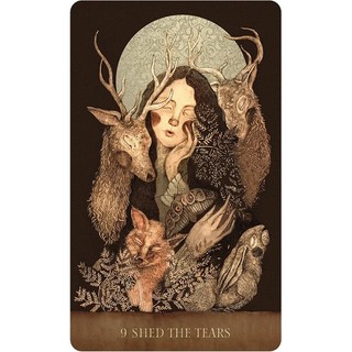 Bộ Bài Dream Song Oracle (Mystic House Tarot Shop) - Bài Gốc Authentic Chính Hãng 100%