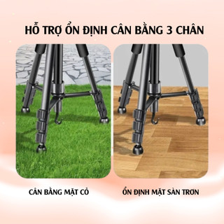 Chân Tripod Máy Ảnh, Điện Thoại 360 Độ – Thiết Kế Nhỏ Gọn, Chắc Chắn, Chuyên Dụng Livestream Quay Vlog