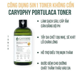 [Caryophy] TONER LÀM DỊU KHÔNG CỒN CARYOPHY