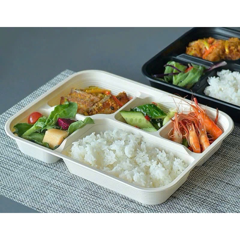 (Combo 100 ) Khay cơm hộp văn phòng dùng 1 lần 5 ngăn có nắp trong suốt