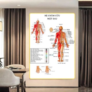 [Tranh Huyệt Đạo] Tranh Tráng Gương Bo Viền Cao Cấp - Tranh Y Tế Châm Cứu