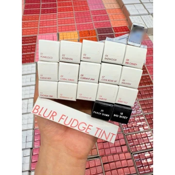 Son Kem Lì Hàn Quốc Siêu Xinh ROMAND Blur Fudge Tint 5g