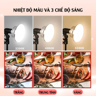 Đèn Softbox Chữ Nhật 50x70cm Chân Cao 2m1 – Đèn Tản Sáng Livestream Chụp Ảnh Studio, Hỗ Trợ Ánh Sáng Quay Video