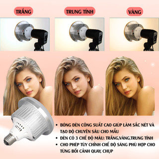 Đèn Softbox Chữ Nhật 50x70cm Chân Cao 2m1 – Đèn Tản Sáng Livestream Chụp Ảnh Studio, Hỗ Trợ Ánh Sáng Quay Video
