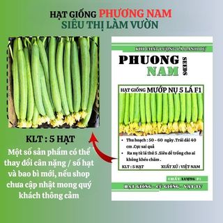 5 Hạt - Hạt Giống Mướp Nụ 5 Lá F1