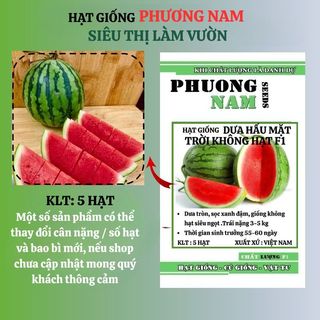 5 Hạt- Hạt Giống Dưa Hấu Mặt Trời Không Hạt F1 Phương Nam