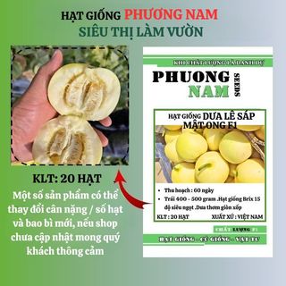 20 Hạt - Hạt Giống Dưa Lê Sáp Mật Ong F1 Phương Nam