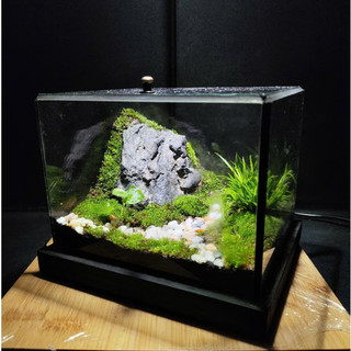 Terrarium " Vĩnh Sơn Huyền Cảnh " quà tặng sinh nhật ý nghĩa tặng kèm đèn đế gỗ