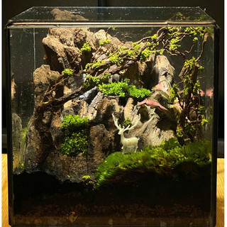 Terrarium " Vườn địa đàng " quà tặng ý nghĩa  ( Valentine, sinh nhật, anniversary,...)