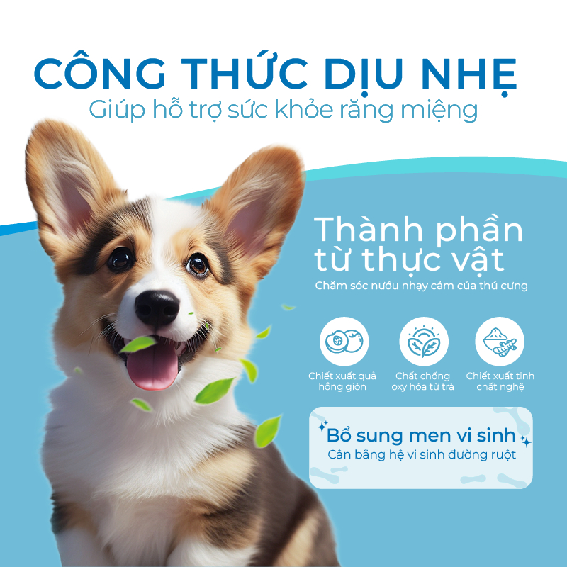 Nước Vệ Sinh Răng Miệng Cho Chó Mèo DrVET Giúp Hơi Thở Thơm Mát - Pet Dental Care Water Additive