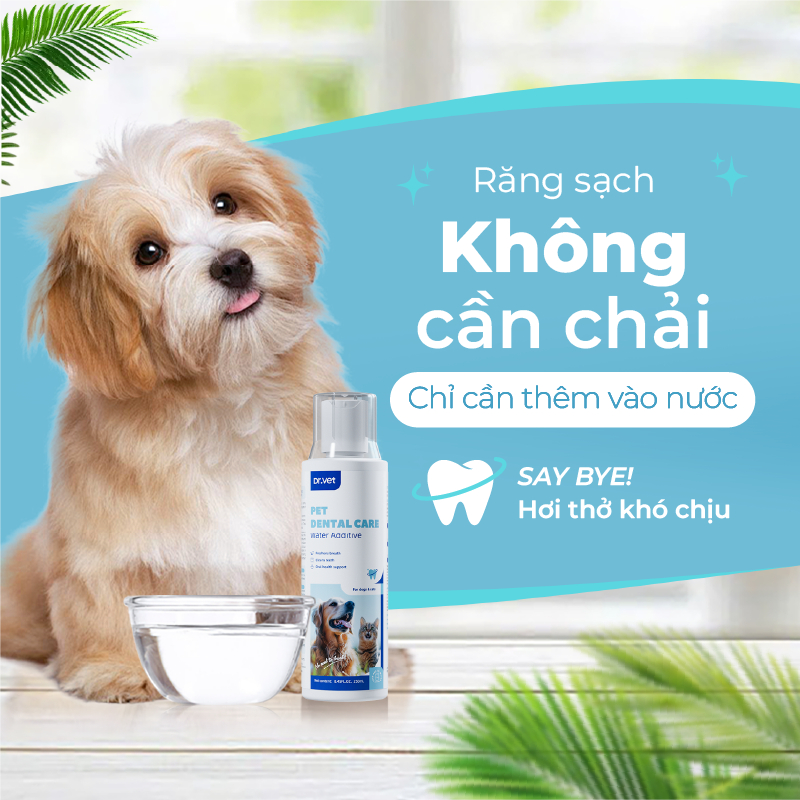 Nước Vệ Sinh Răng Miệng Cho Chó Mèo DrVET Giúp Hơi Thở Thơm Mát - Pet Dental Care Water Additive