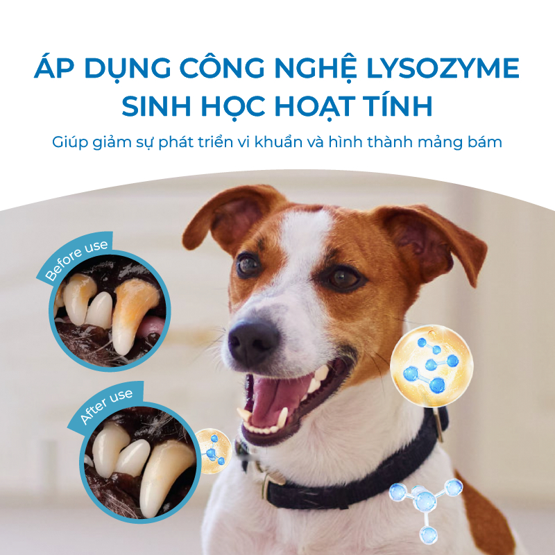 Nước Vệ Sinh Răng Miệng Cho Chó Mèo DrVET Giúp Hơi Thở Thơm Mát - Pet Dental Care Water Additive
