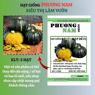 5 Hạt - Hạt Giống Bí Mini Hạt Dẻ F1 Phương Nam