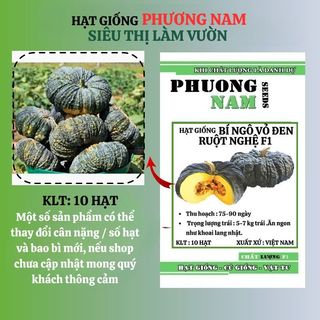 10 Hạt - Hạt Giống  Bí Ngô Vỏ Đen Ruột Nghệ F1 Phương Nam