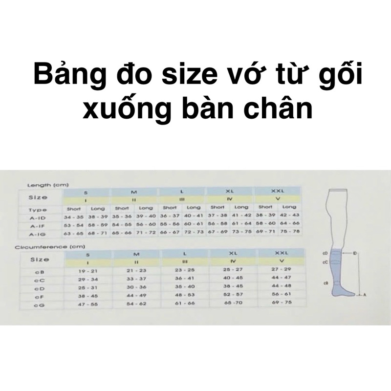 Vớ giãn tĩnh mạch dài đến gối, giúp giảm mỏi chân, hỗ trợ tuần hoàn , co giãn thoải mái