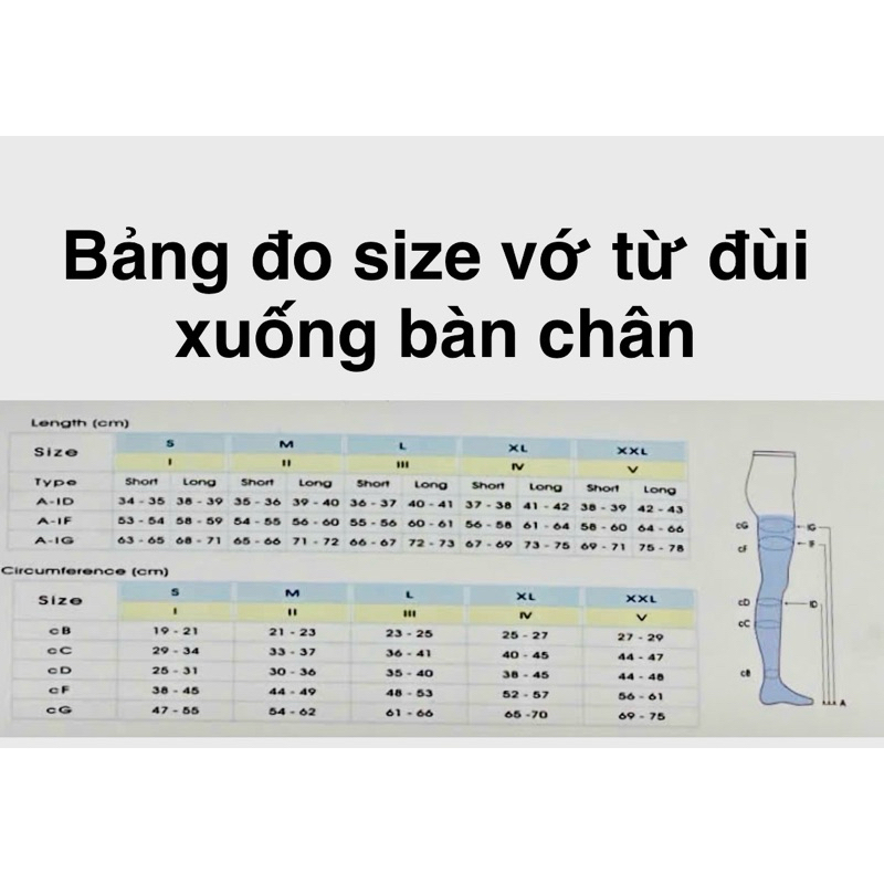 Vớ giãn tĩnh mạch , giúp giảm mỏi chân, hỗ trợ tuần hoàn , co giãn thoải mái
